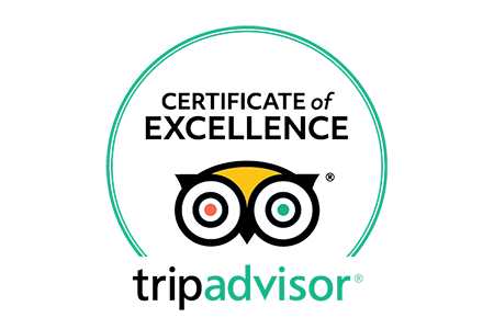 Tripadvisor Certificate Of Excellence Logo
