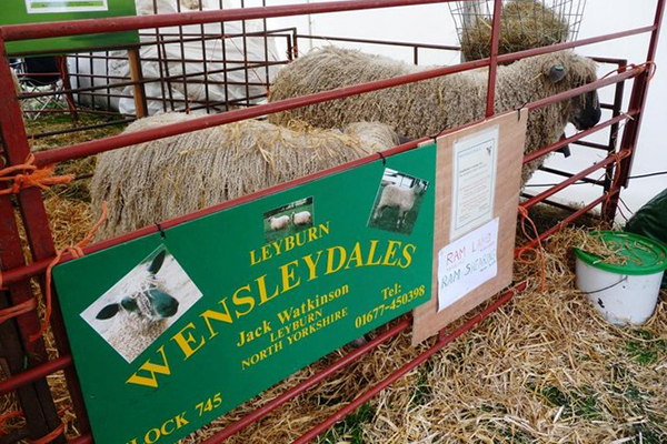 Wensleydale Agricultural Show
